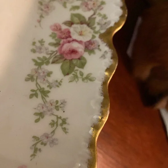 Vintage Limoges France celery platter dish